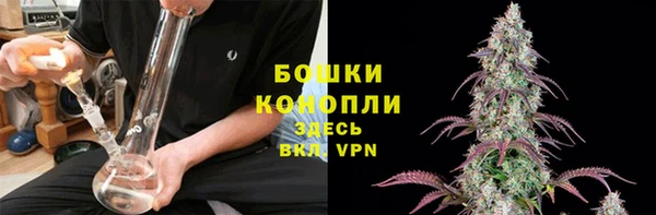 крисы Беломорск