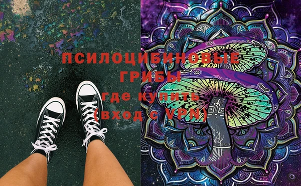индика Белоозёрский
