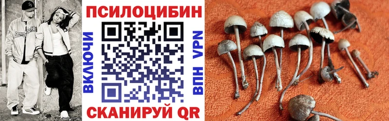 Псилоцибиновые грибы прущие грибы  купить наркоту  блэк спрут сайт  Боровск 